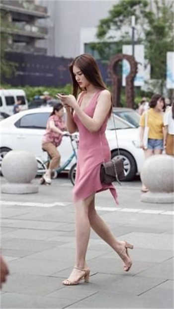他的金丝雀全文无删减