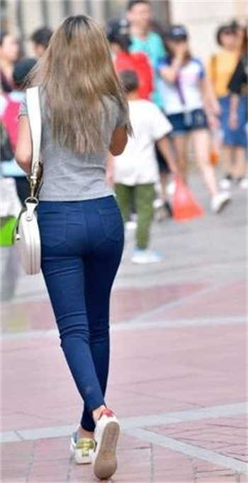 房东的房租免费看