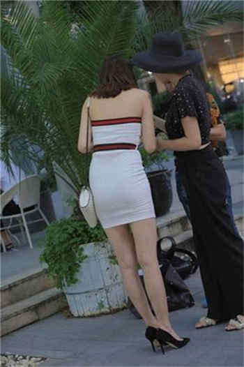 娱乐之开局就和杨老板同居