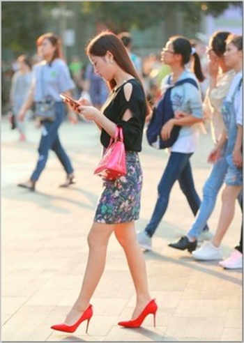 樱花app新版免费